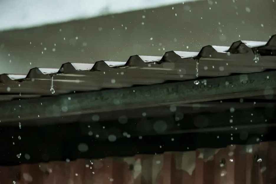 raining-6669645_1280.jpg?type=w1