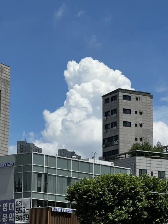 IMG%EF%BC%BF7447.jpg?type=w580