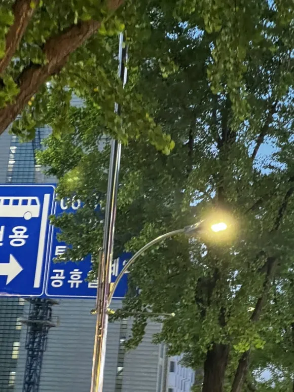 IMG%EF%BC%BF7435.jpg?type=w580