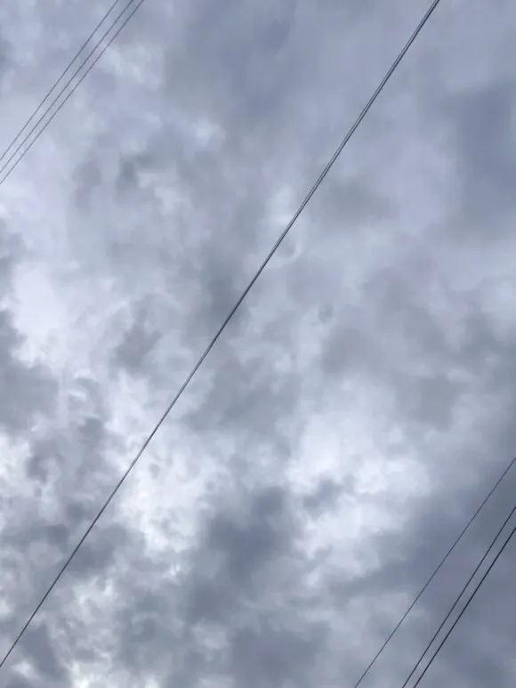 IMG%EF%BC%BF8474.jpg?type=w580