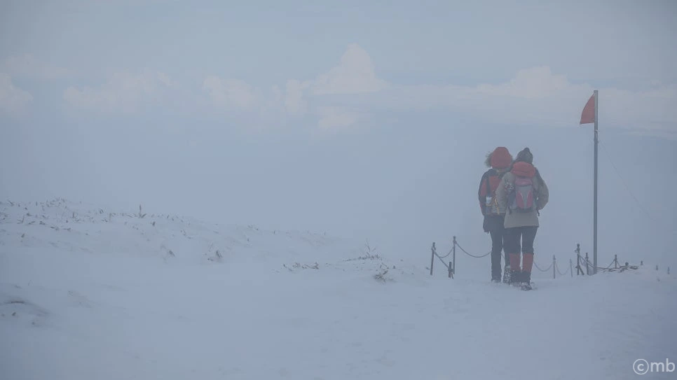 %ED%95%9C%EB%9D%BC%EC%82%B01600%EA%B3%A0%EC%A7%80.jpg?type=w966