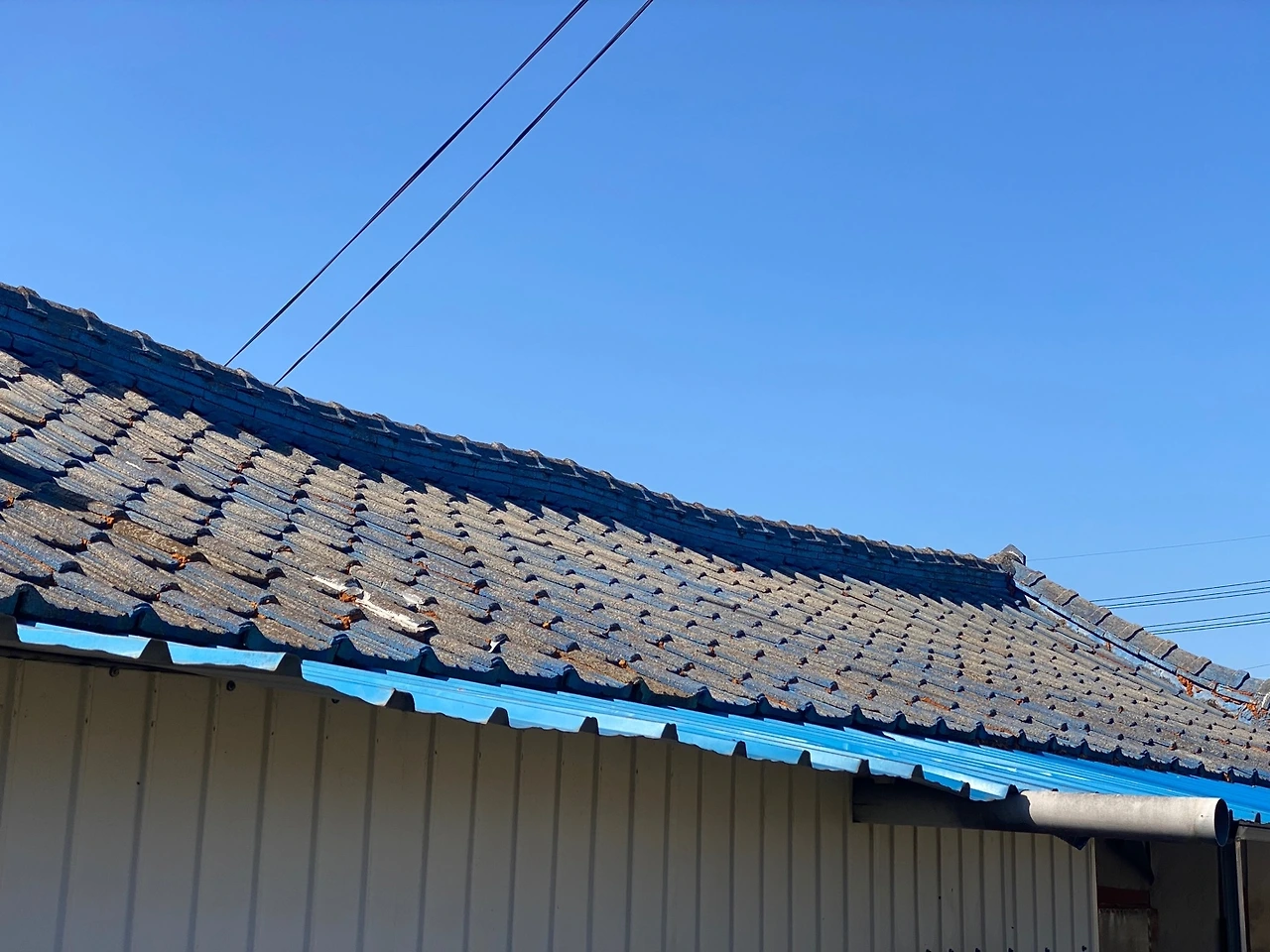 5편 피해야할 시골집1.jpeg