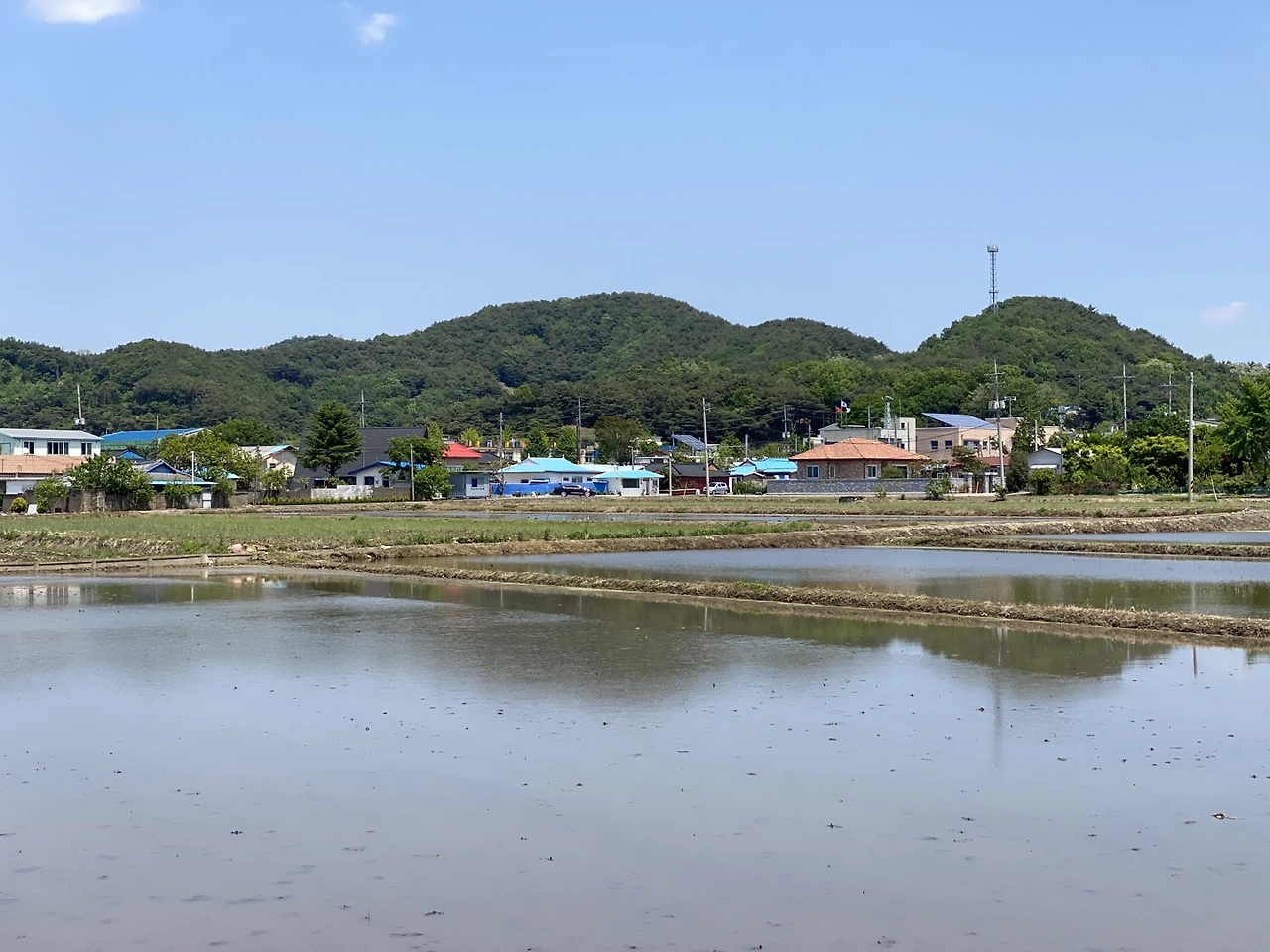 KakaoTalk_Photo_2025-06-24-12-55-35 001.jpeg