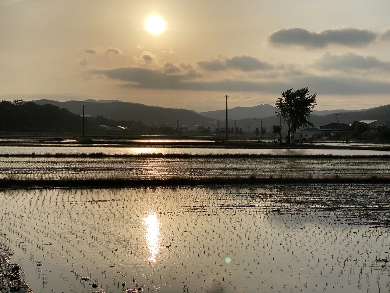 KakaoTalk_Photo_2025-06-24-12-55-35 007.jpeg