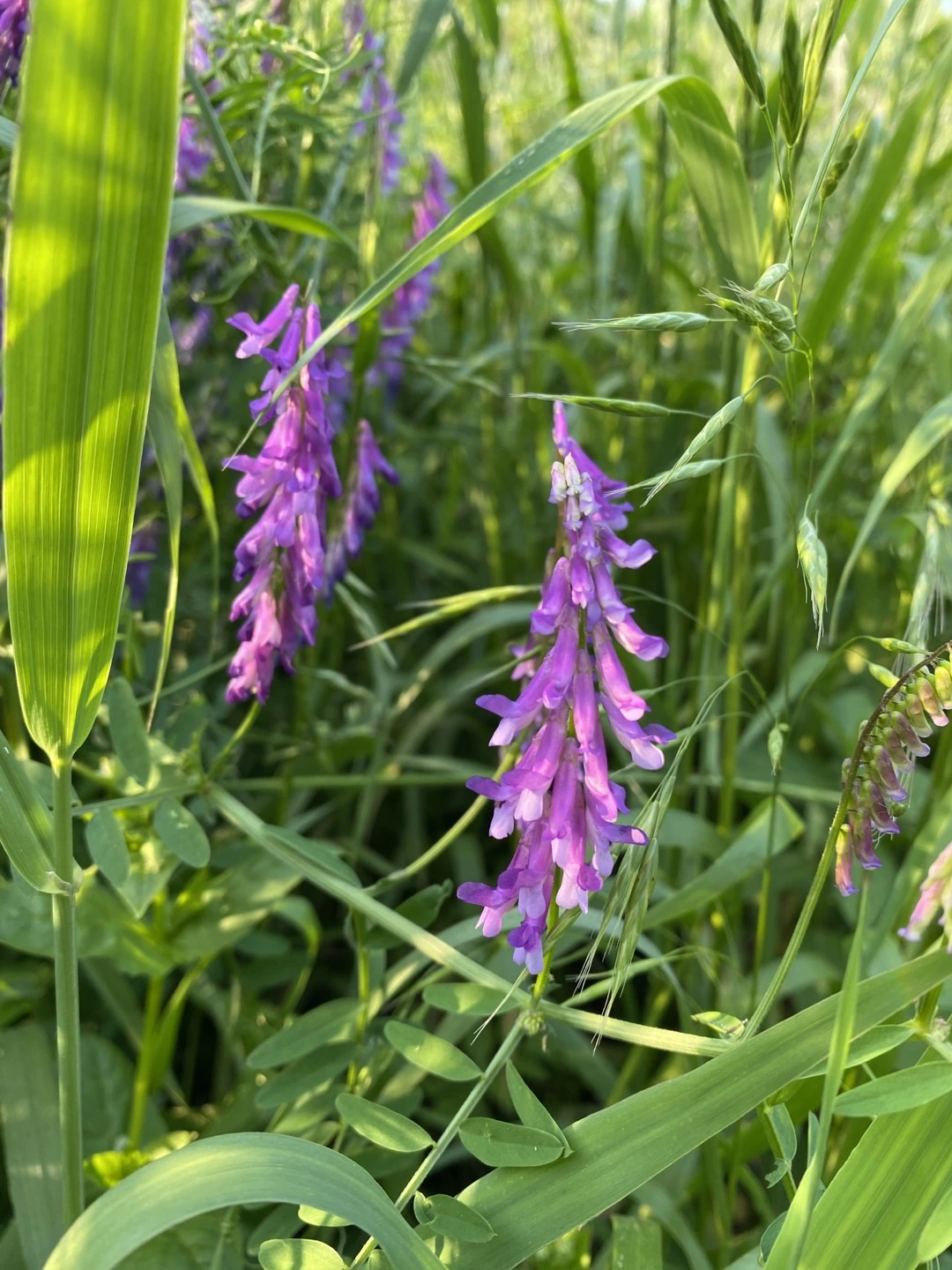 KakaoTalk_Photo_2025-06-24-12-55-44 004.jpeg