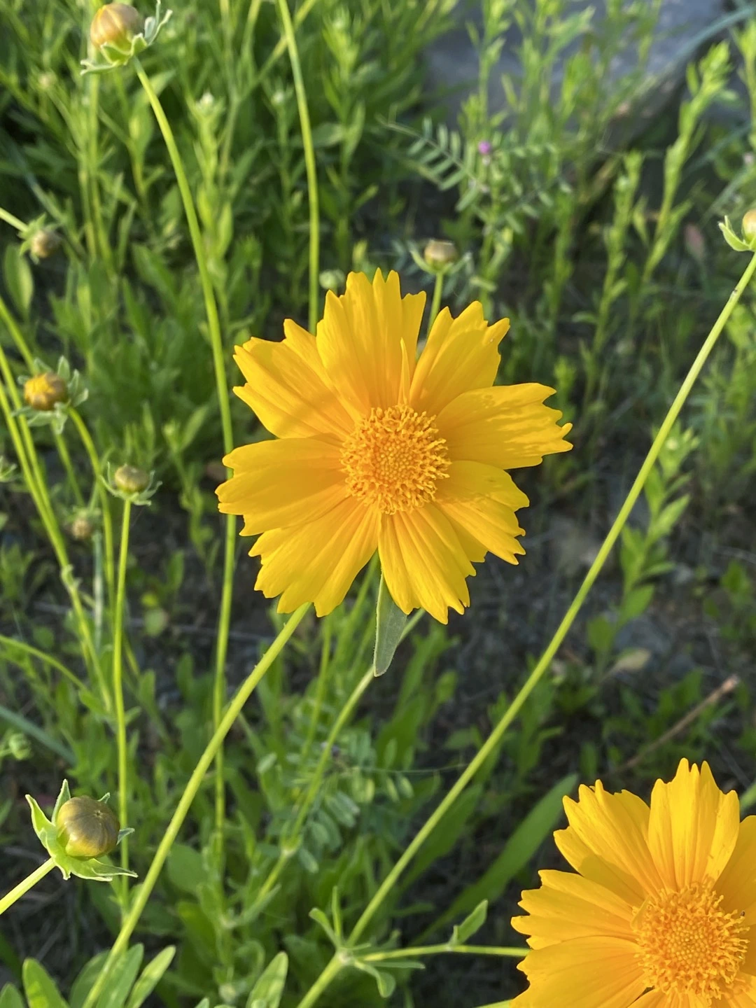 KakaoTalk_Photo_2025-06-24-12-55-44 003.jpeg