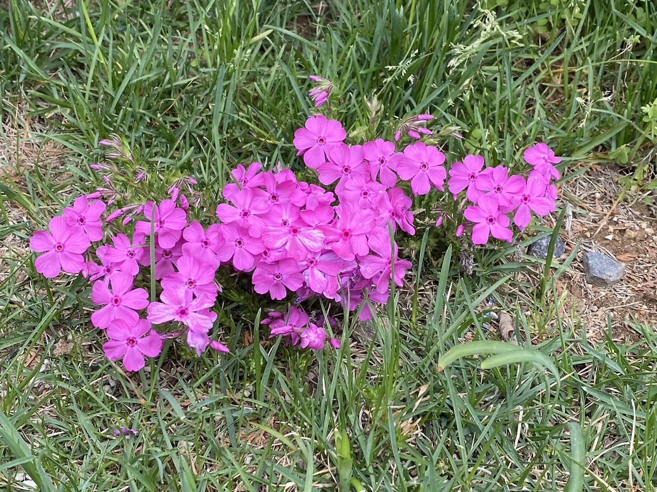 KakaoTalk_Photo_2025-06-24-13-07-46 004.jpeg