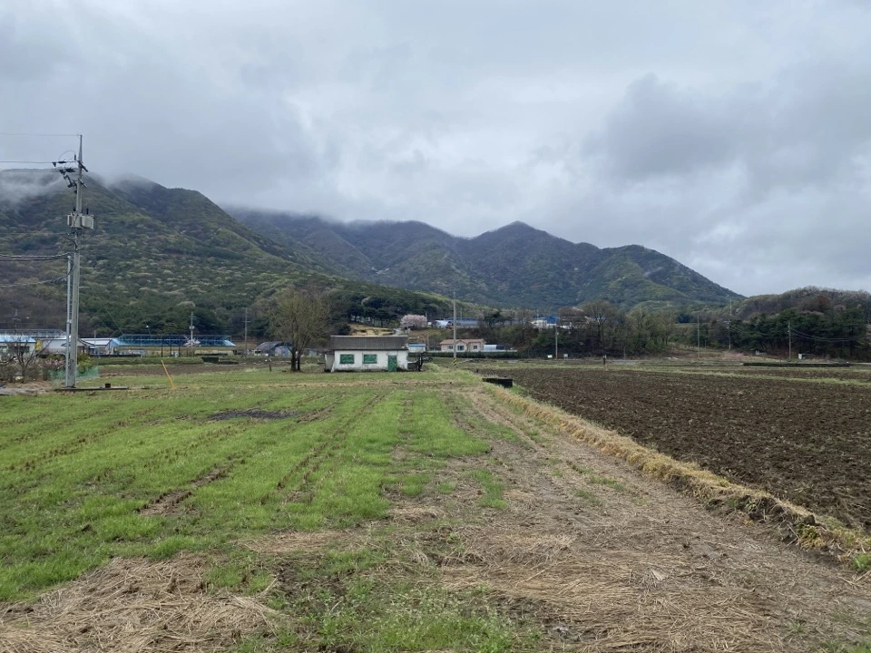 집앞 풍경.jpeg