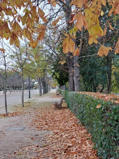 900%EF%BC%BF20251206%EF%BC%BF092737.jpg?type=w773