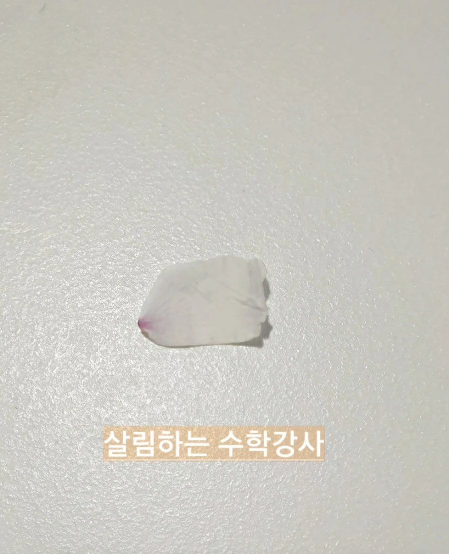 1750468302008.jpg?type=w966