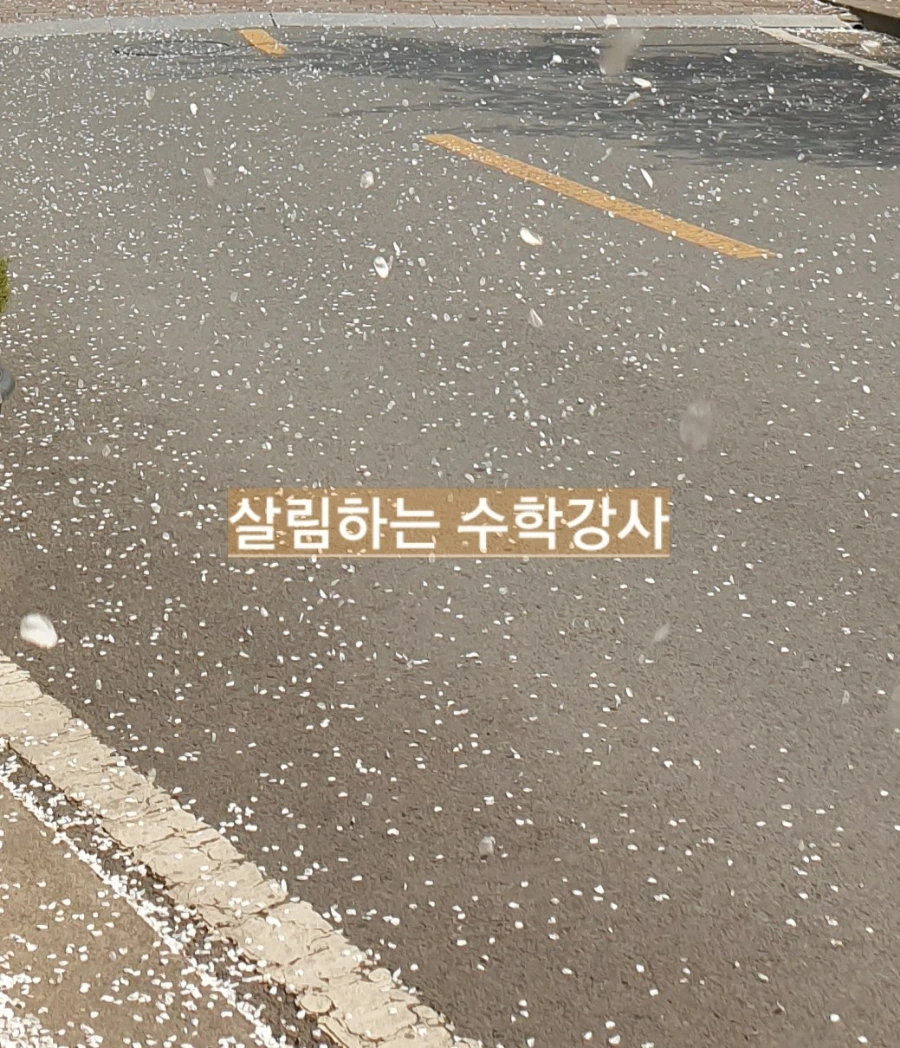 900%EF%BC%BF1750477068880.jpg?type=w966