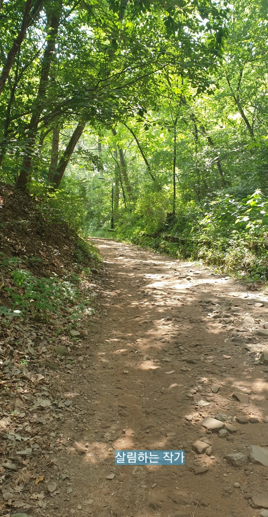 900%EF%BC%BF1751517360384.jpg?type=w966