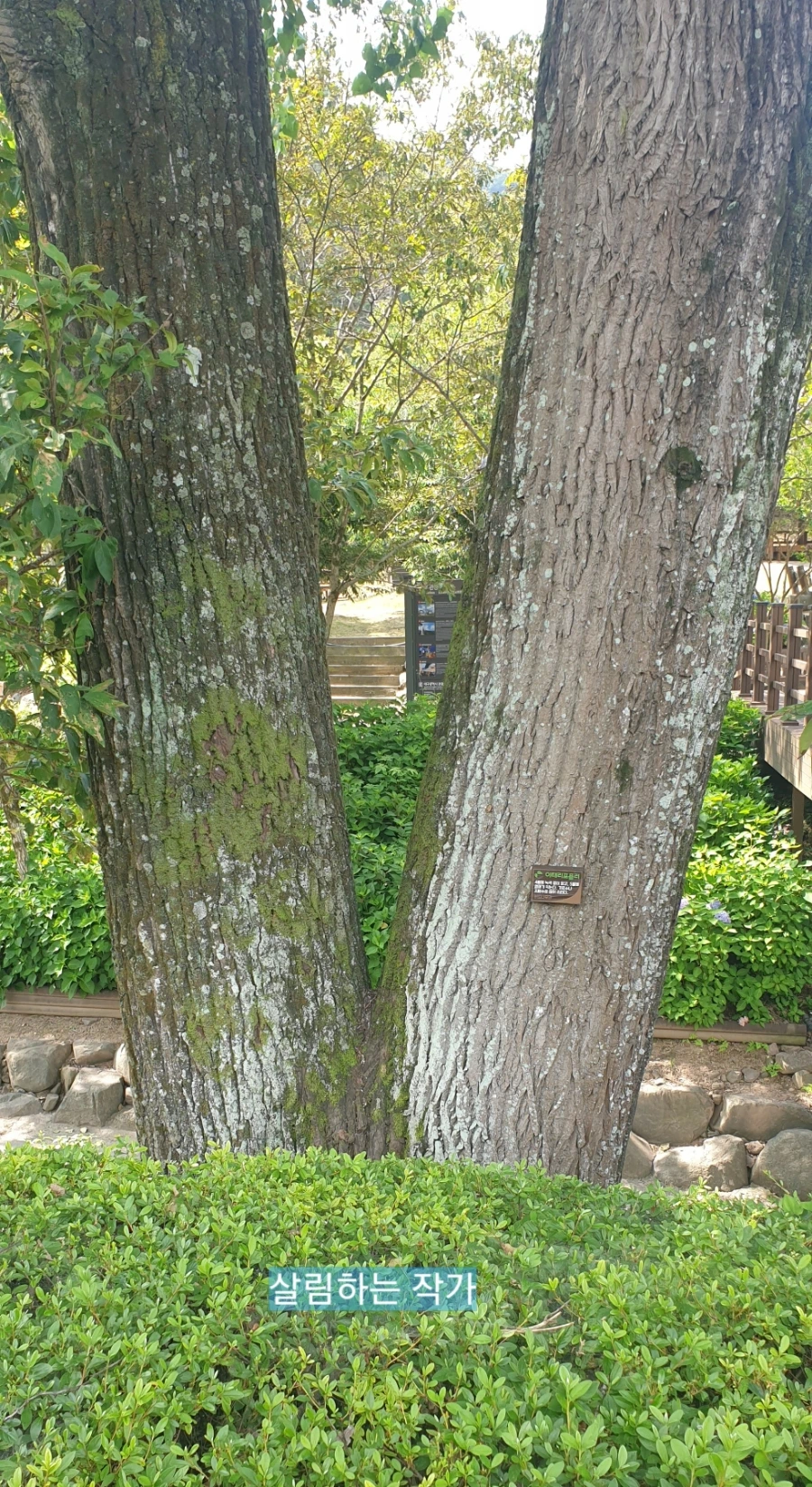 900%EF%BC%BF1751516494256.jpg?type=w966