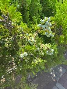 IMG%EF%BC%BF8504.jpg?type=w1