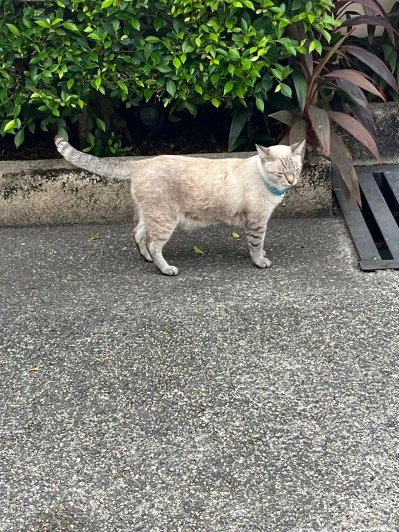 KakaoTalk_20250131_121224206.jpg?type=w580