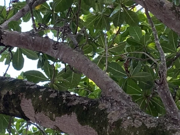 KakaoTalk_20250131_120731531_20.jpg?type=w580