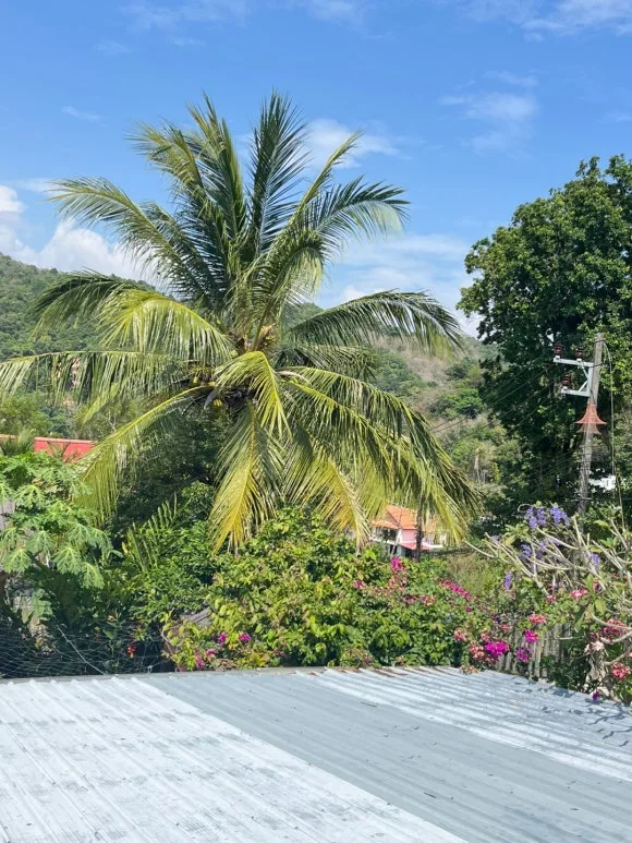 KakaoTalk_20250131_121104048_23.jpg?type=w580