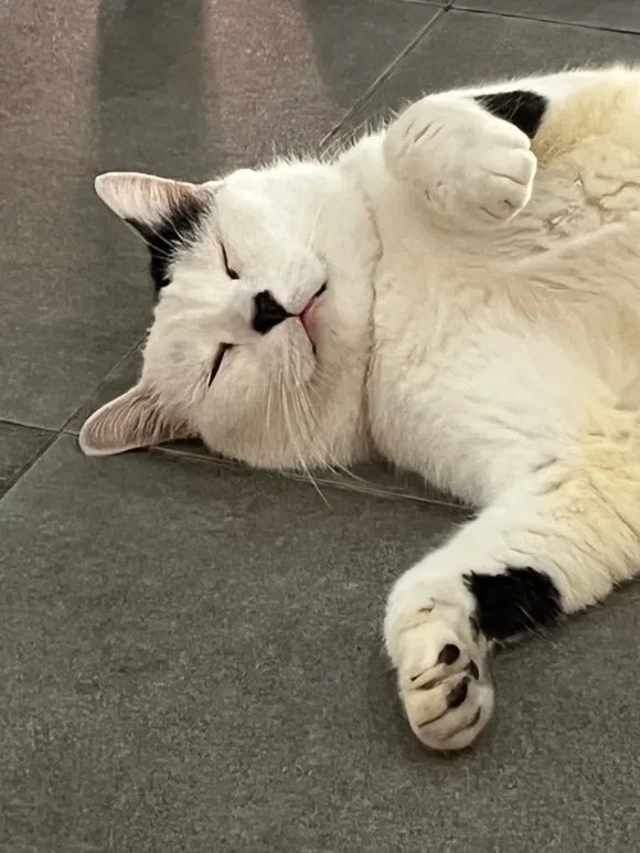 KakaoTalk_20250131_121104048_29.jpg?type=w580