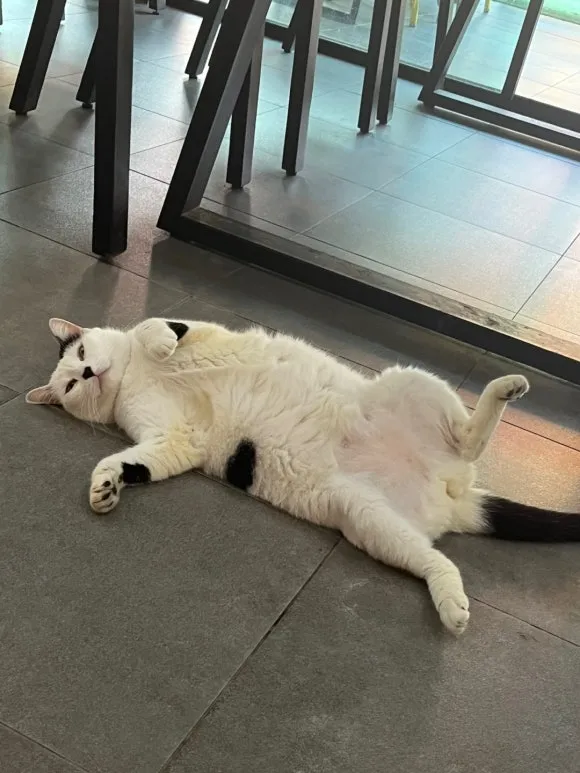 KakaoTalk_20250131_121104048_27.jpg?type=w580