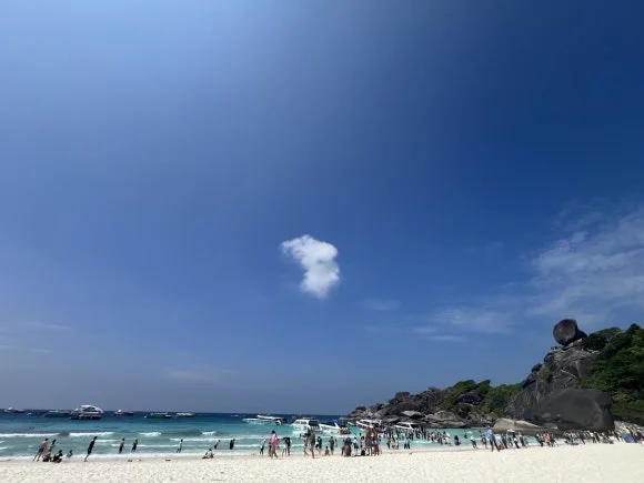 KakaoTalk_20250131_120731531_06.jpg?type=w580