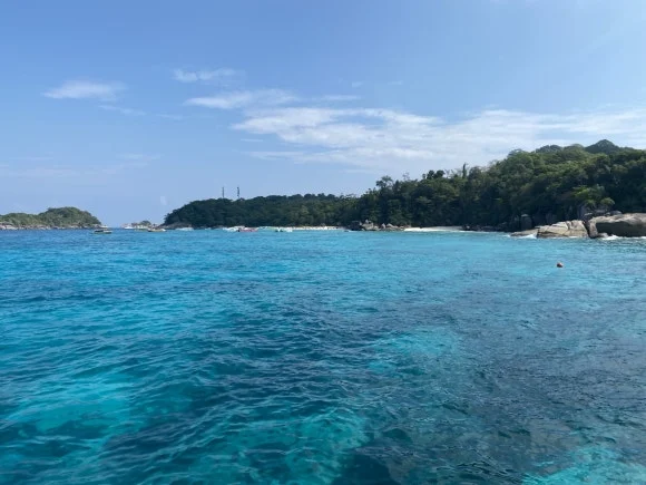 KakaoTalk_20250131_120731531_16.jpg?type=w580