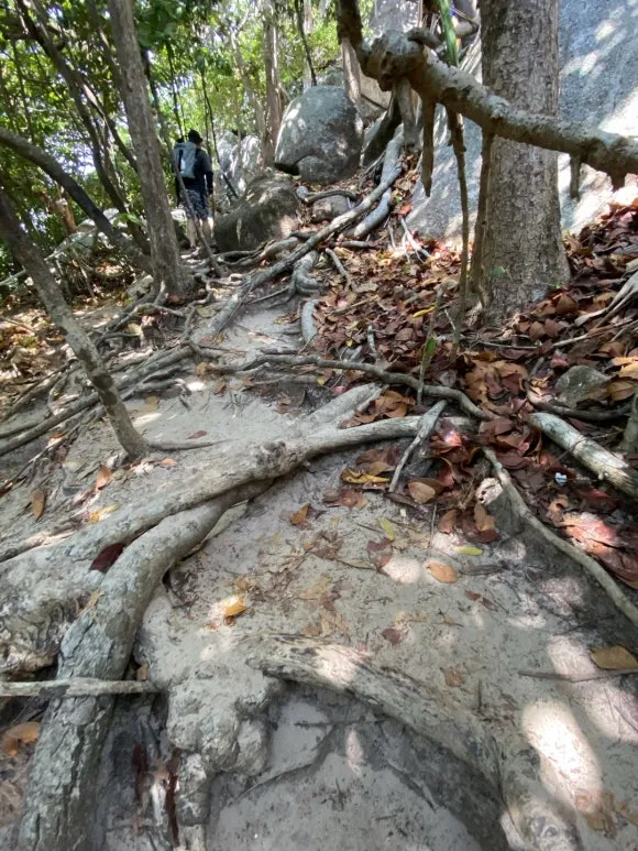 KakaoTalk_20250131_120416297_05.jpg?type=w580