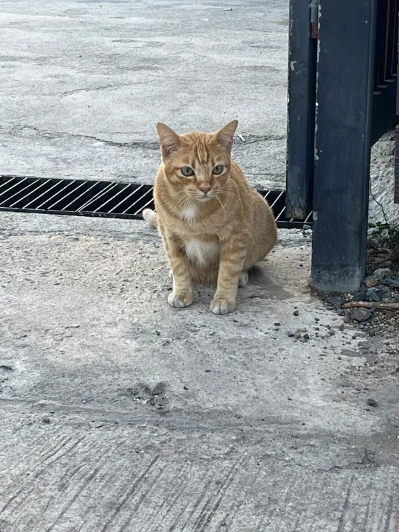 KakaoTalk_20250131_121224206_01.jpg?type=w580