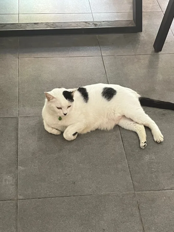 KakaoTalk_20250131_121138994.jpg?type=w580