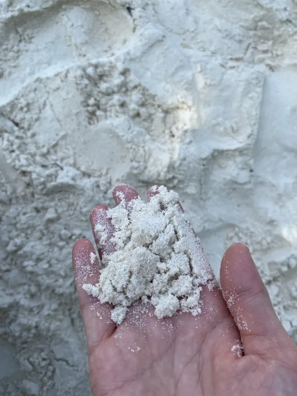 KakaoTalk_20250131_120731531_13.jpg?type=w580