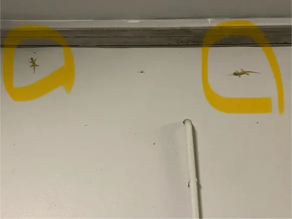 KakaoTalk_20250131_120343775_26.jpg?type=w580