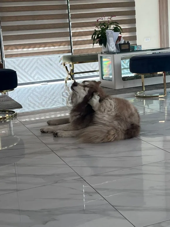 KakaoTalk_20250131_121104048_19.jpg?type=w580