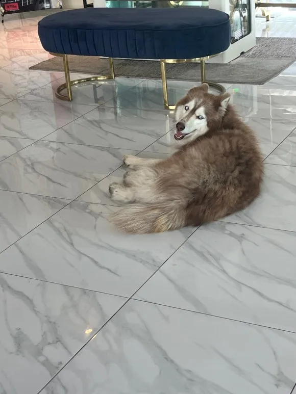 KakaoTalk_20250131_121104048_21.jpg?type=w580