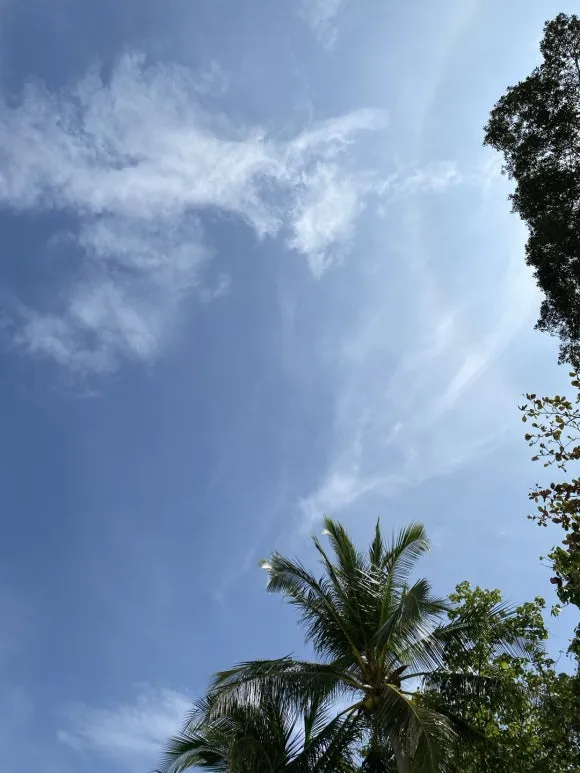 KakaoTalk_20250131_120343775_20.jpg?type=w580