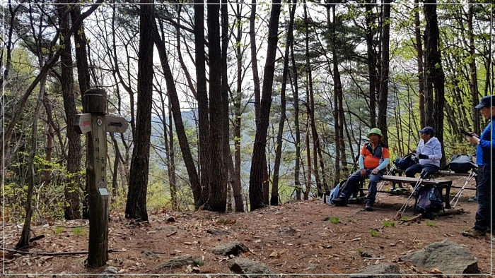 a0109537_5ad5f5258a7fc.jpg?type=w966