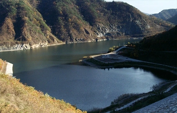 a0109537_4987941938fdc.jpg?type=w966