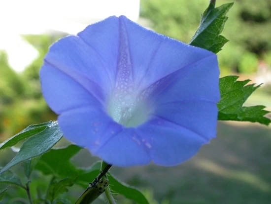 a0109537_49879423b2314.jpg?type=w966