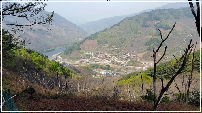 a0109537_5ad4a55e93d32.jpg?type=w966