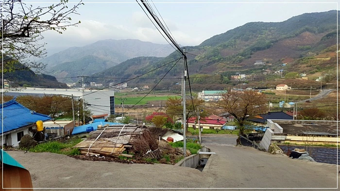 a0109537_5ad49bd263a71.jpg?type=w966