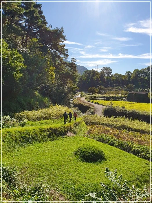 a0109537_5da881ffc8473.jpg?type=w966