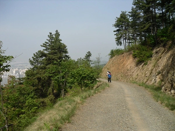 a0109537_4dca3b432075b.jpg?type=w966