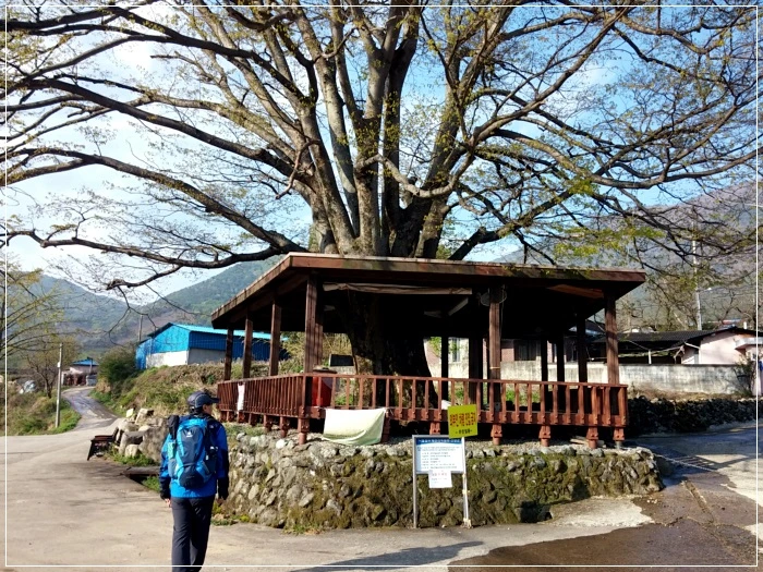 a0109537_58f616fc4eda3.jpg?type=w966