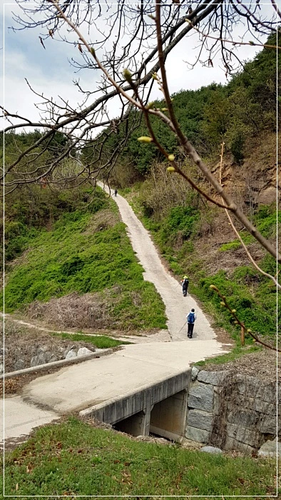 a0109537_5ad5f6551164f.jpg?type=w966