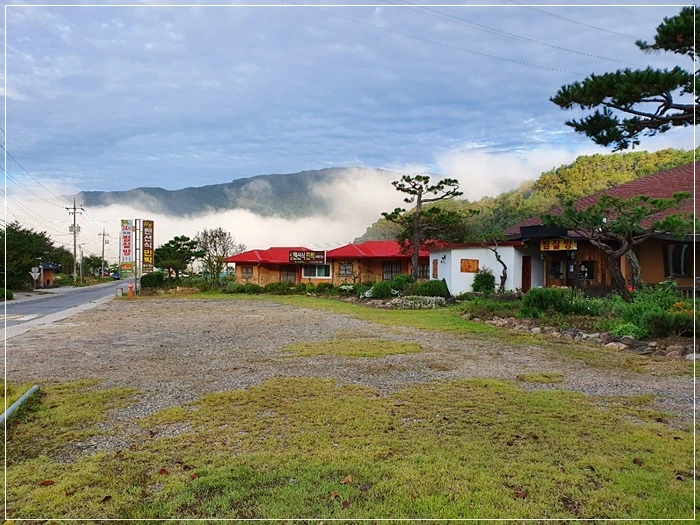 a0109537_5da885535d8dd.jpg?type=w966