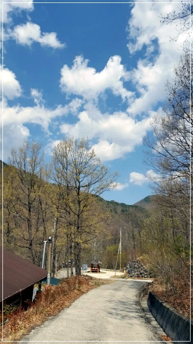 a0109537_58f6192365ef9.jpeg?type=w966