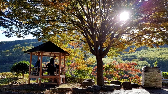 a0109537_5a01ace10c24c.jpg?type=w966