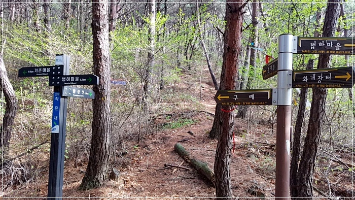 a0109537_5ad4a11db7d6d.jpg?type=w966