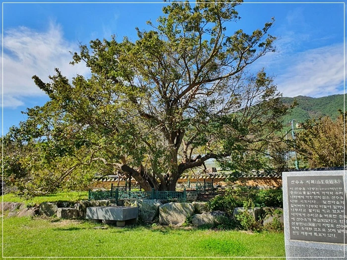 a0109537_5da9c76416bec.jpg?type=w966