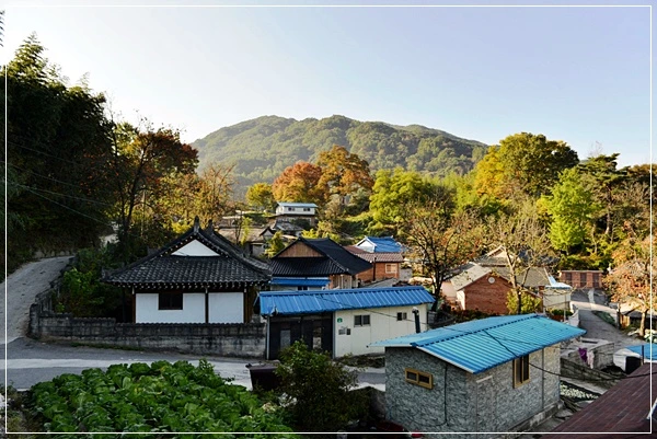 a0109537_526e671e2d7e6.jpg?type=w966