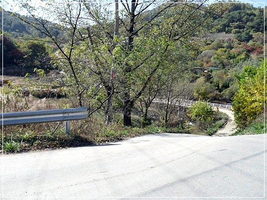 a0109537_4add34dcbcf27.jpg?type=w966