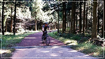 a0109537_5260d41b8cf8d.jpg?type=w966